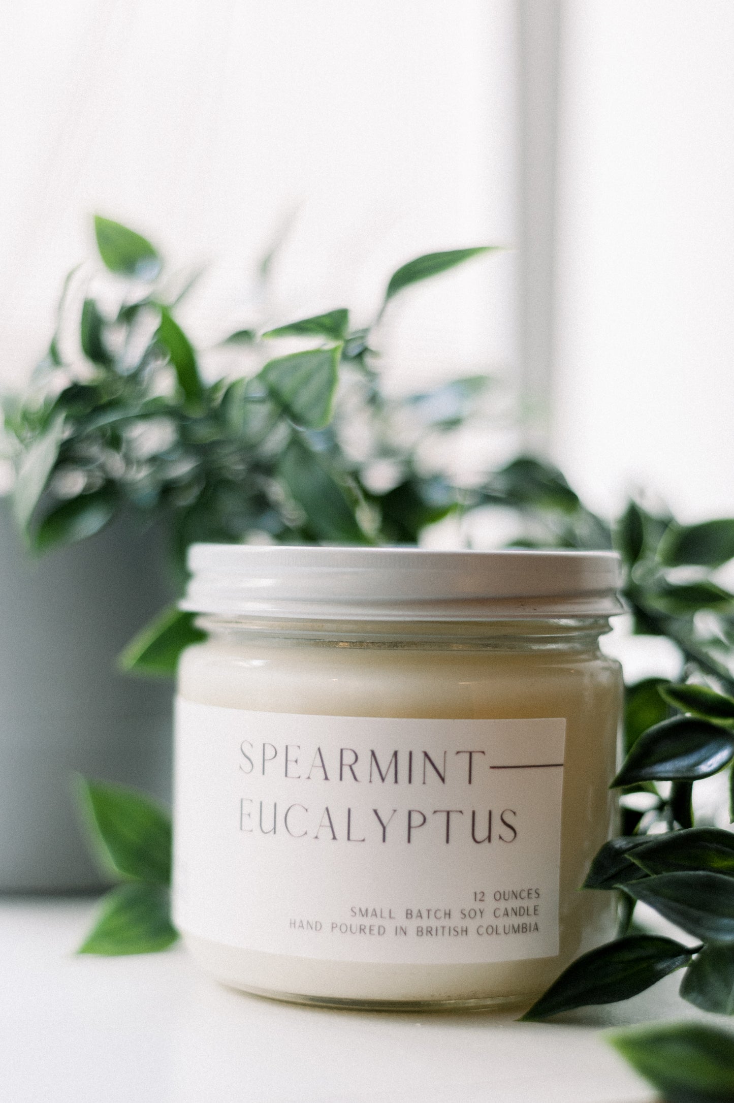 SPEARMINT EUCALYPTUS